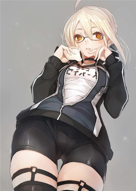 FATE系列 谜之女主角X(alter) x毛alter 狂呆