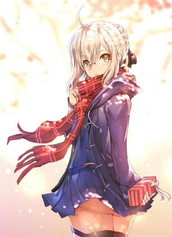FATE系列 谜之女主角X(alter) x毛alter 狂呆