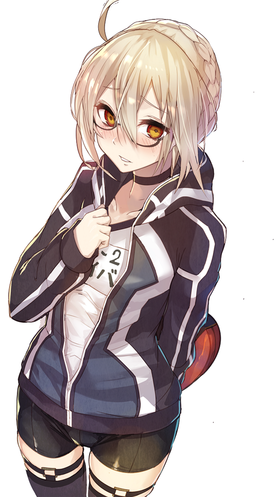 FATE系列 谜之女主角X(alter) x毛alter 狂呆