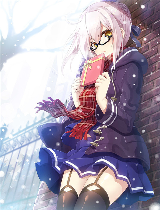 FATE系列 谜之女主角X(alter) x毛alter 狂呆