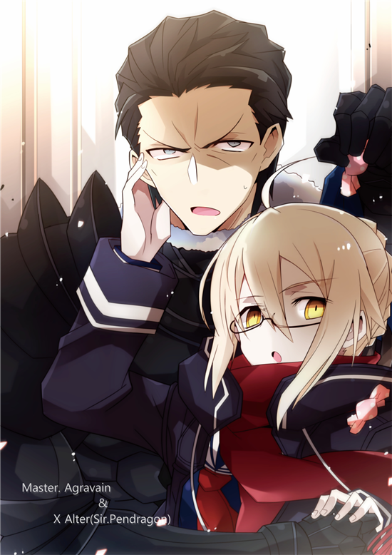 FATE系列 谜之女主角X(alter) x毛alter 狂呆