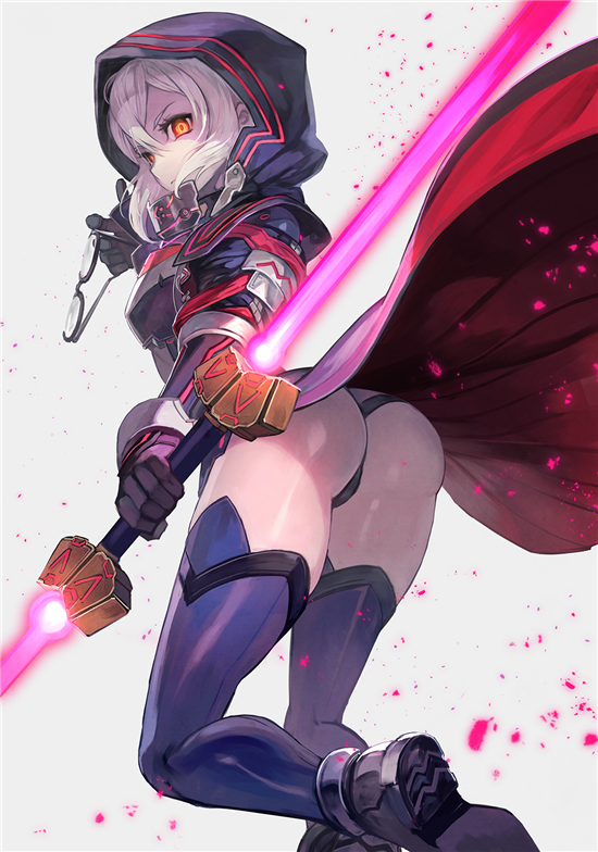 FATE系列 谜之女主角X(alter) x毛alter 狂呆